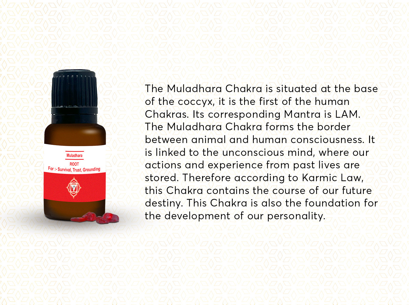 AuraDecor 7 Chakras Essential Oils with 7 Chakras Gems