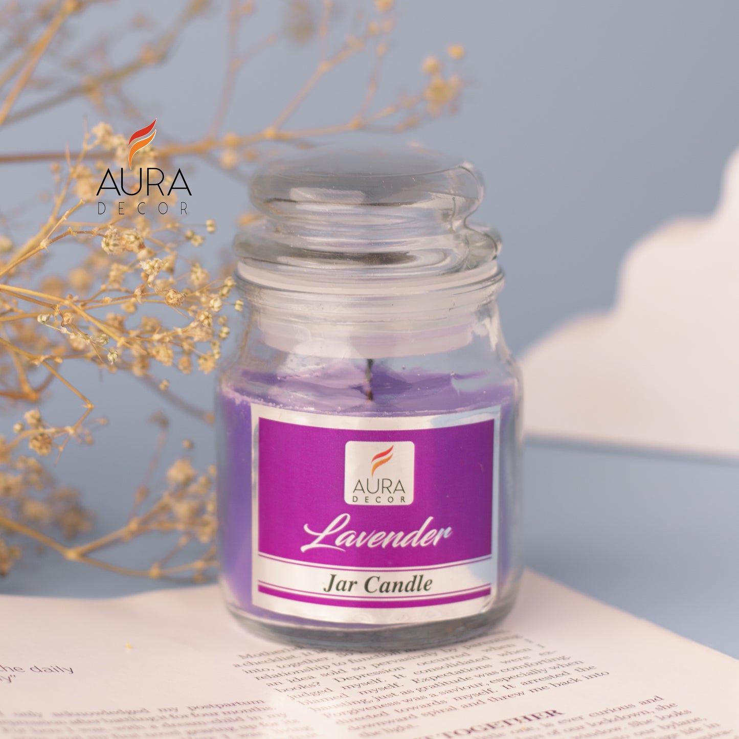 AuraDecor Cookie Jar Candle ( Paraffin Wax, 30 hours Life )