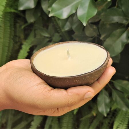 AuraDecor Empty Coconut Shells for Candle Making