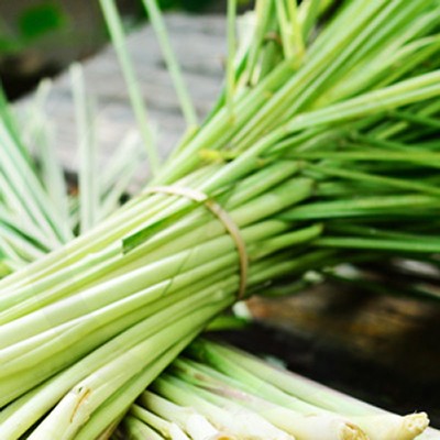 Fragrances for Candle Making
