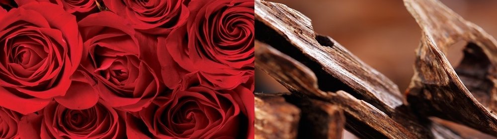 Premium Fragrances for Candle Making