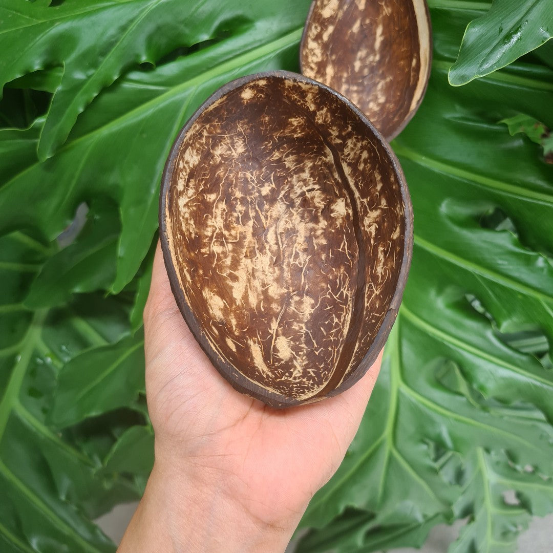 AuraDecor Empty Coconut Shells for Candle Making