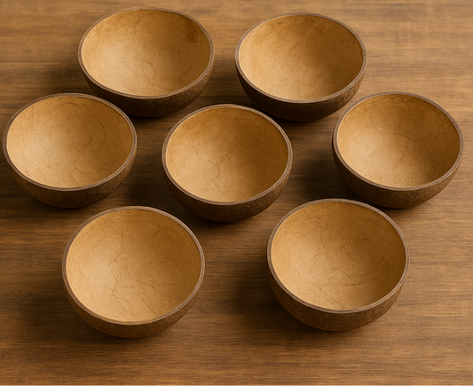 AuraDecor Empty Coconut Shells for Candle Making