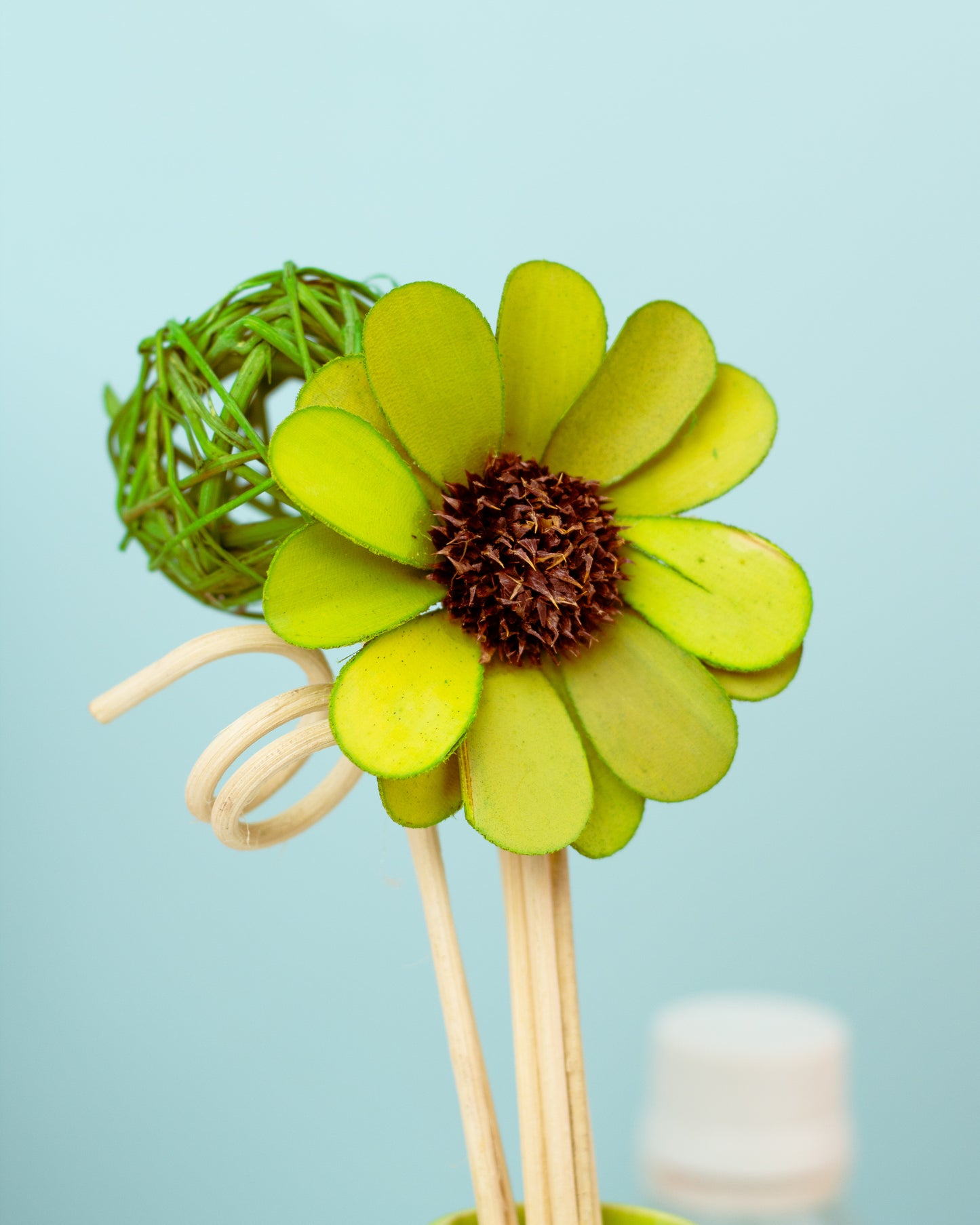 RD-02 ( Reed Diffuser )